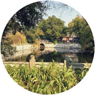英雄盟约手机版下载